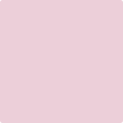 1360: Misty Rose  by Benjamin Moore