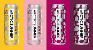 Artic Summer Seltzer Weekender Variety 12pk