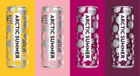 Artic Summer Seltzer Weekender Variety 12pk